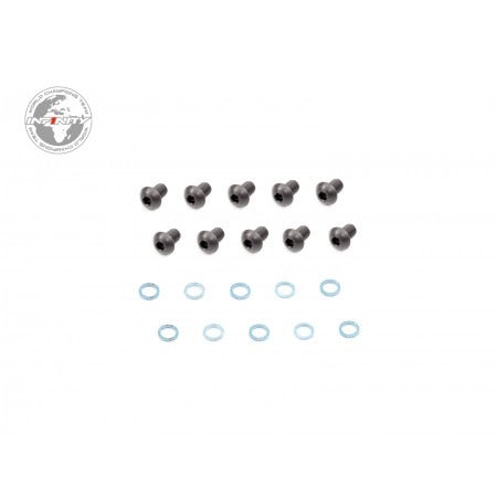INFINITY SHOCK CAP SCREW AND GASKET (10pcs)