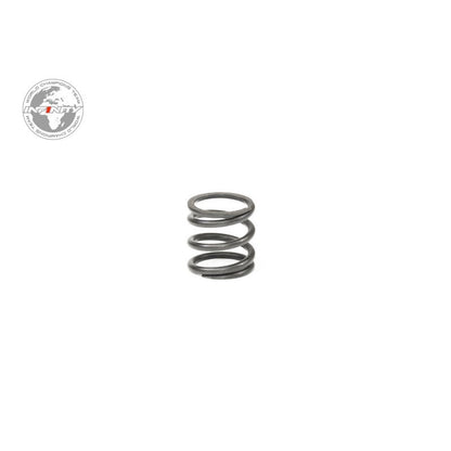INFINITY M055 - SERVO SAVER SPRING - Faster RC HobbiesSpare PartsInfinity RCFaster RC HobbiesM055